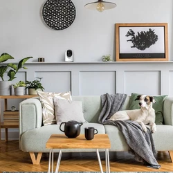 מצלמת אבטחה אלחוטית ממונעת מותג: Semicom Smart